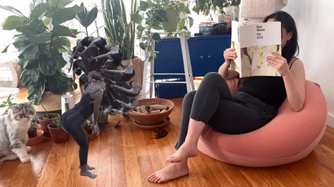 Daily Dividuals — view 1